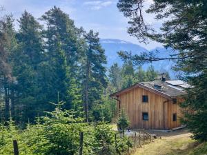 Die Panoramasuite im Waldchalet Jogglwies Panoramasuite Waldchalet